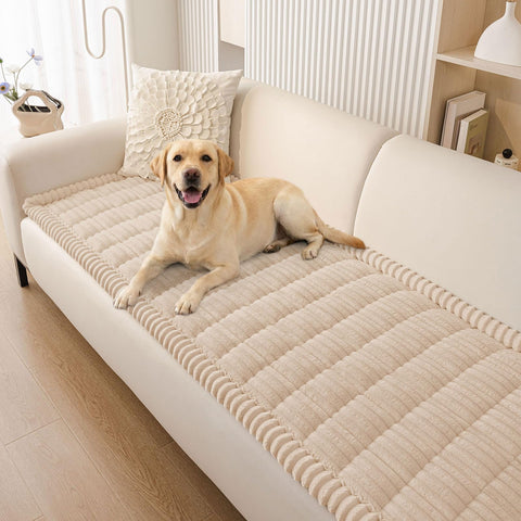 Smiry front view showing sofa cover protecting couch and saving upholstery