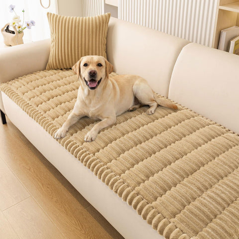 Smiry front view showing full sofa coverage and neat protection
