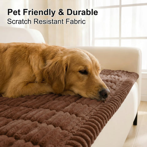 Smiry in use with dog on sofa demonstrating comfort and protection