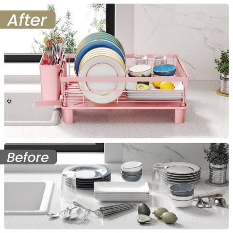 SNTD beside a standard dinner plate for clear size and scale comparison