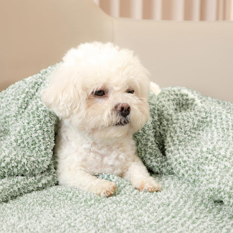 Snuggle Sac draped over chair illustrating the 50x60 inch scale
