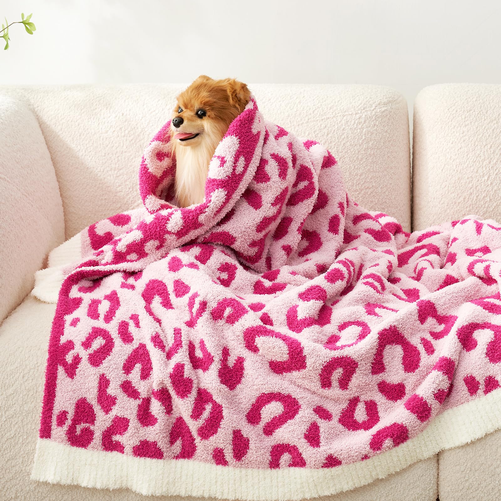 Snuggle Sac used at picnic illustrating portable warmth and fashionable print