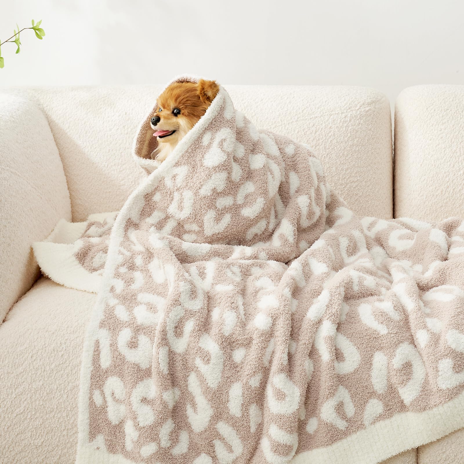 Snuggle Sac spread on sofa in cozy living room for lounging benefit