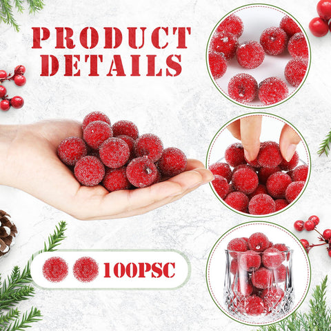 Solsew close-up of frosted cranberry surface, shows realistic texture and sheen