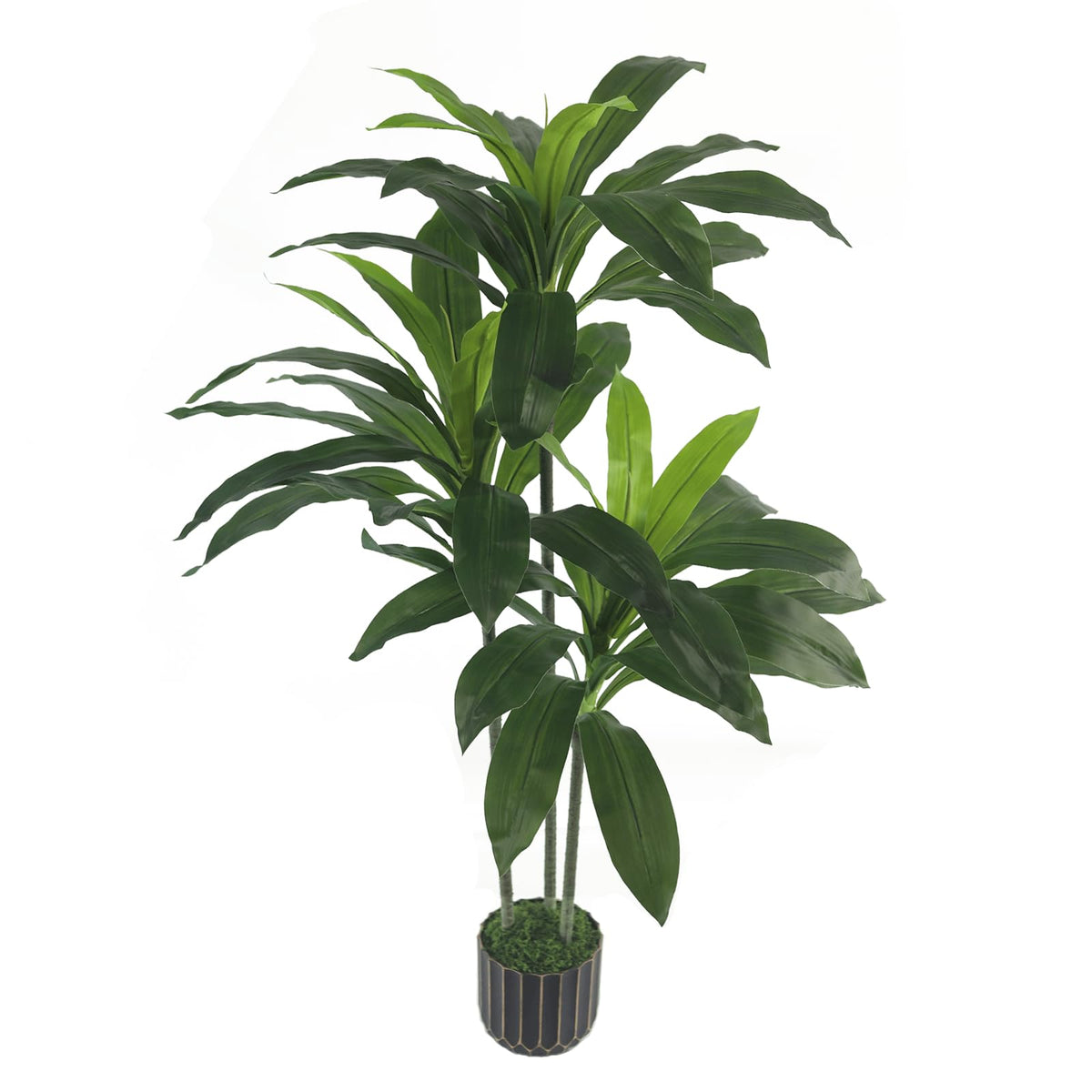 Sonvviky dracaena front view showing full foliage and instant room upgrade
