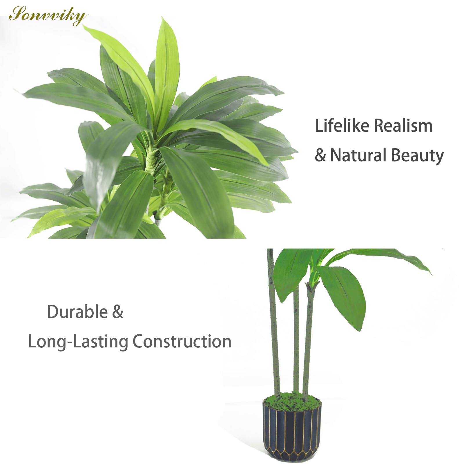 Sonvviky dracaena in living room adding greenery and visual warmth
