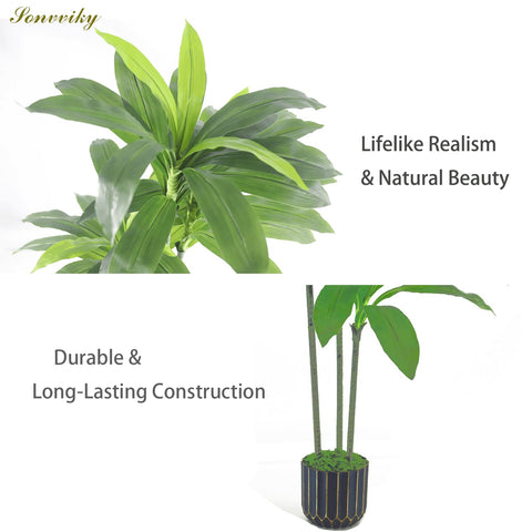 Sonvviky dracaena in living room adding greenery and visual warmth