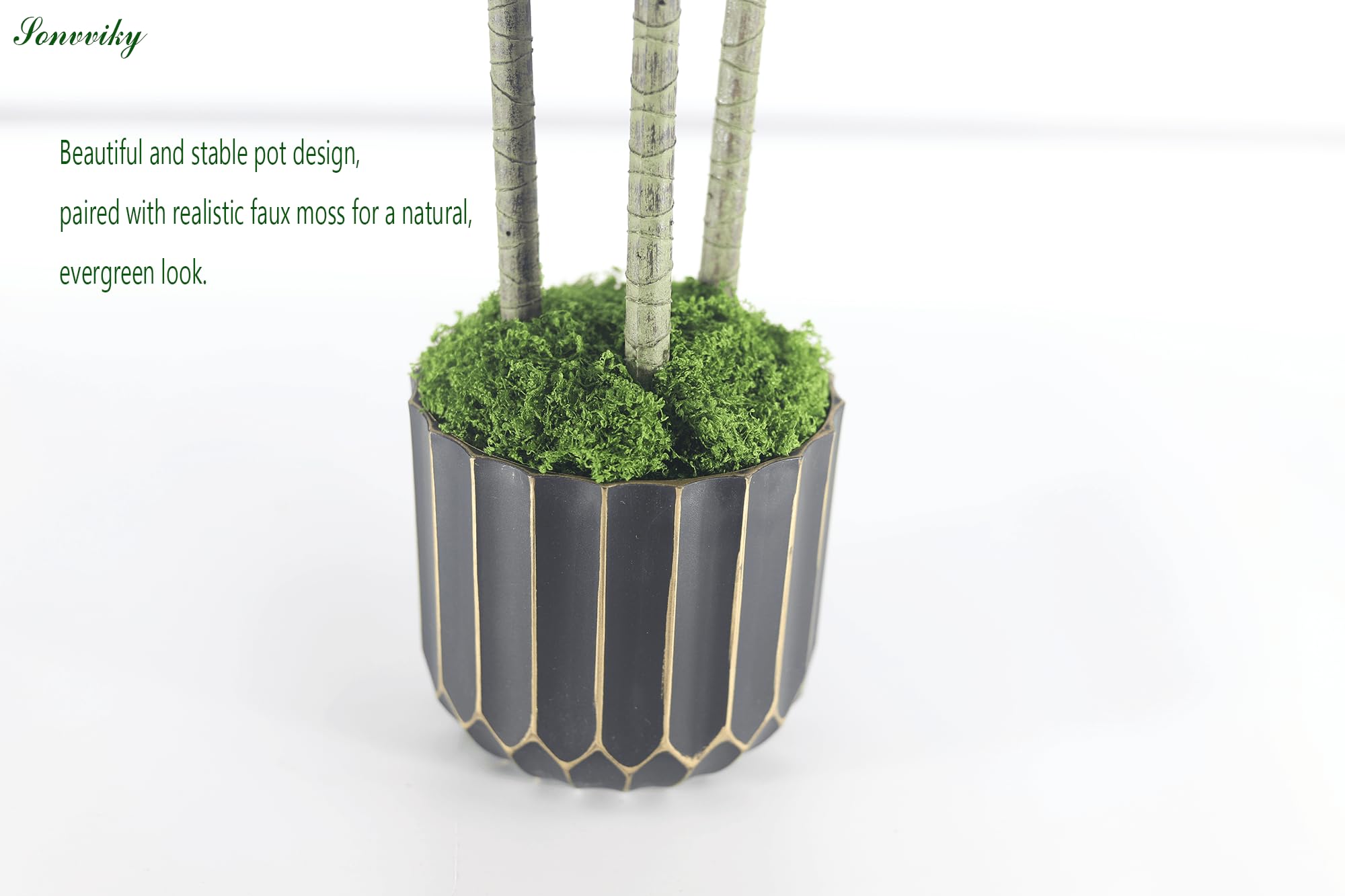 Sonvviky dracaena scale comparison beside sofa illustrating 4ft height