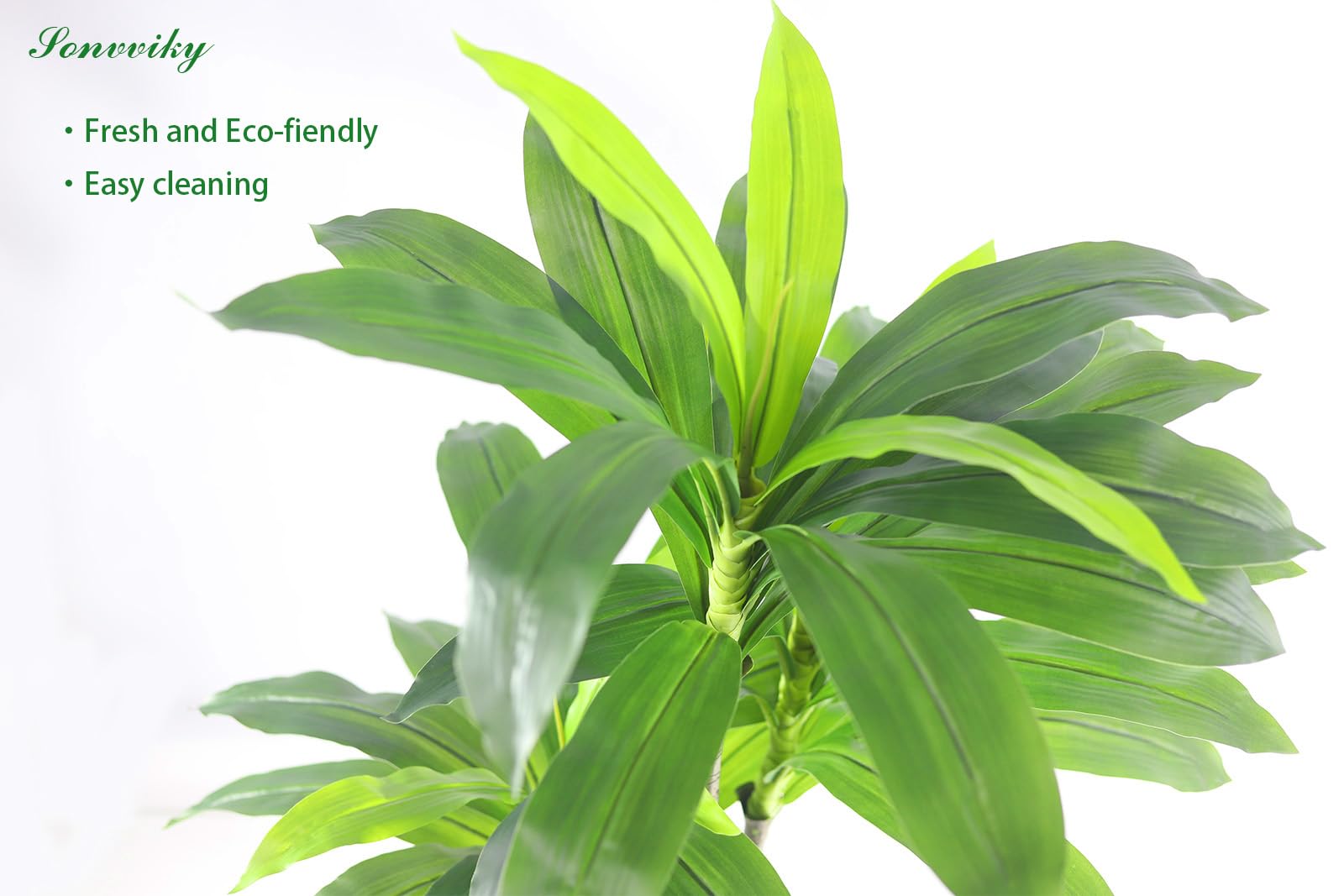 Sonvviky dracaena side profile demonstrating full silhouette and depth