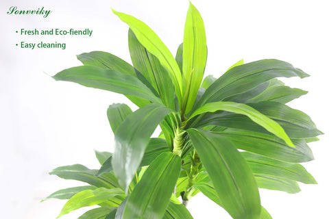 Sonvviky dracaena side profile demonstrating full silhouette and depth