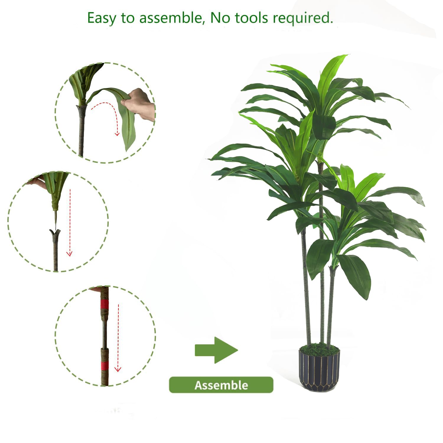 Sonvviky dracaena trunk and base showing sturdy construction and balance