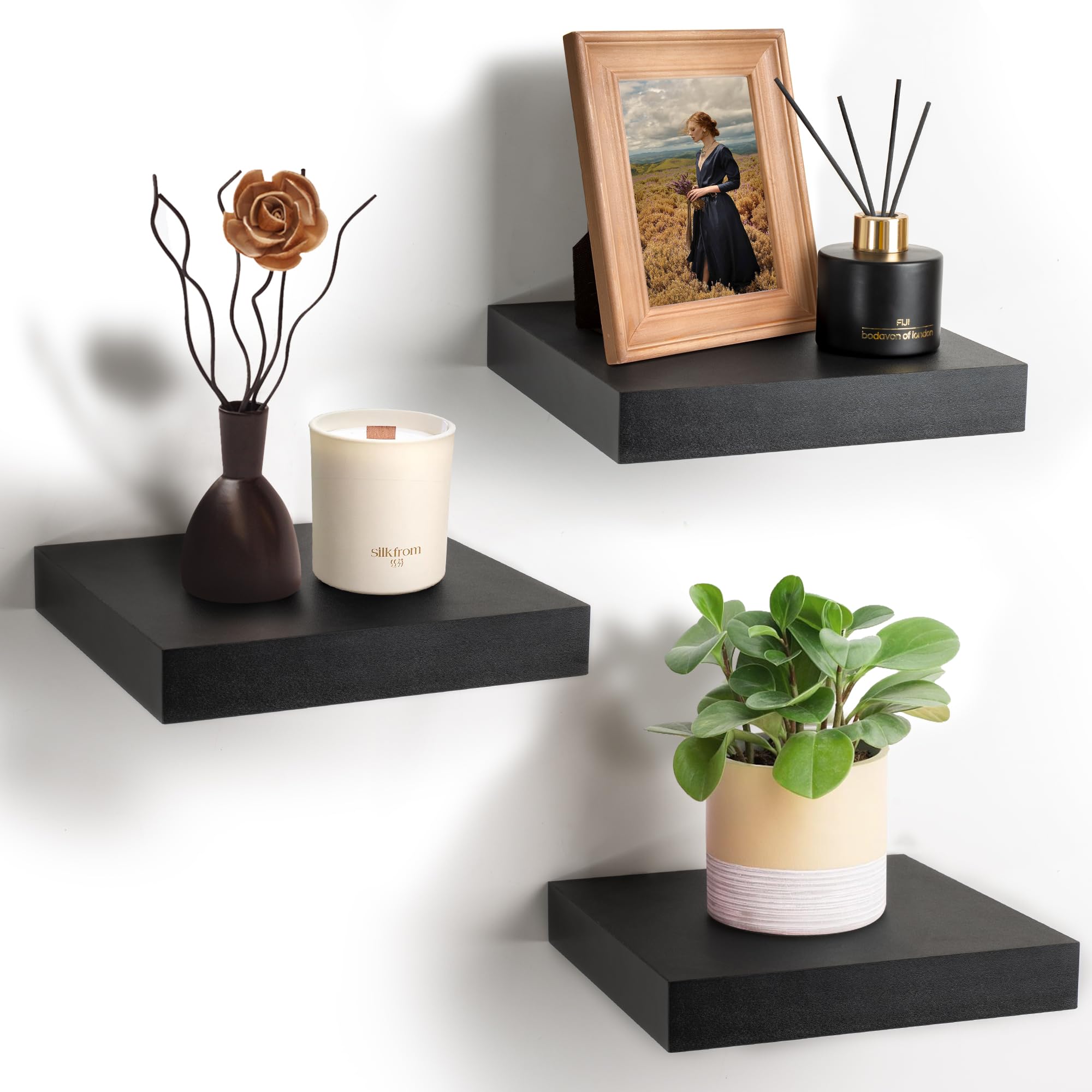 Sorbus decor closeup with plant and photo frame highlighting visual warmth