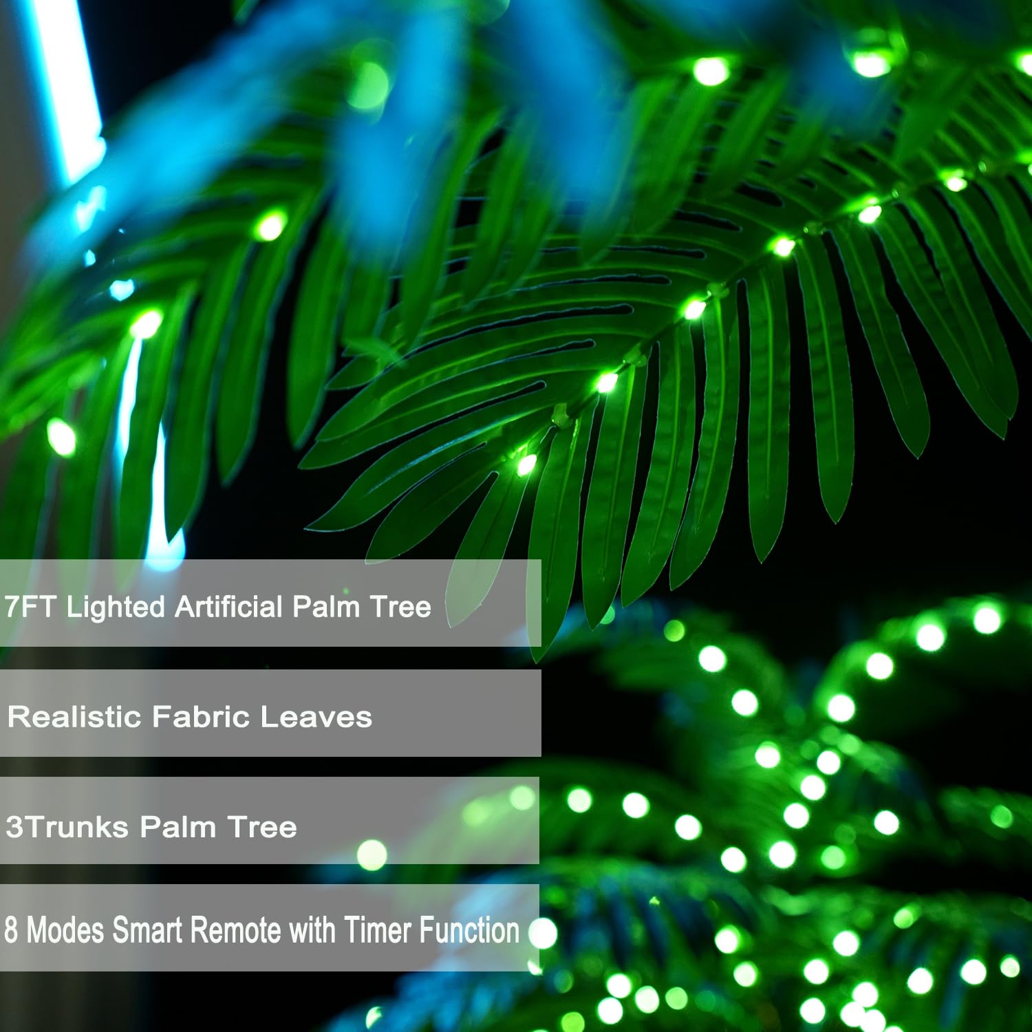 SOSHOT palm on patio at dusk adding festive mood and lighting