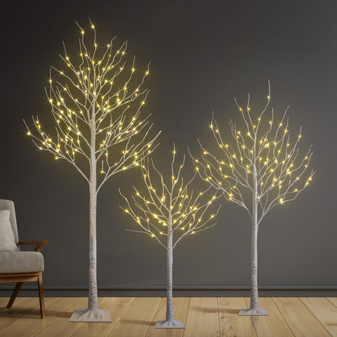 SPIRIT STAR CHRISTMAS CENTER front view of three lit birch trees adding warm ambiance