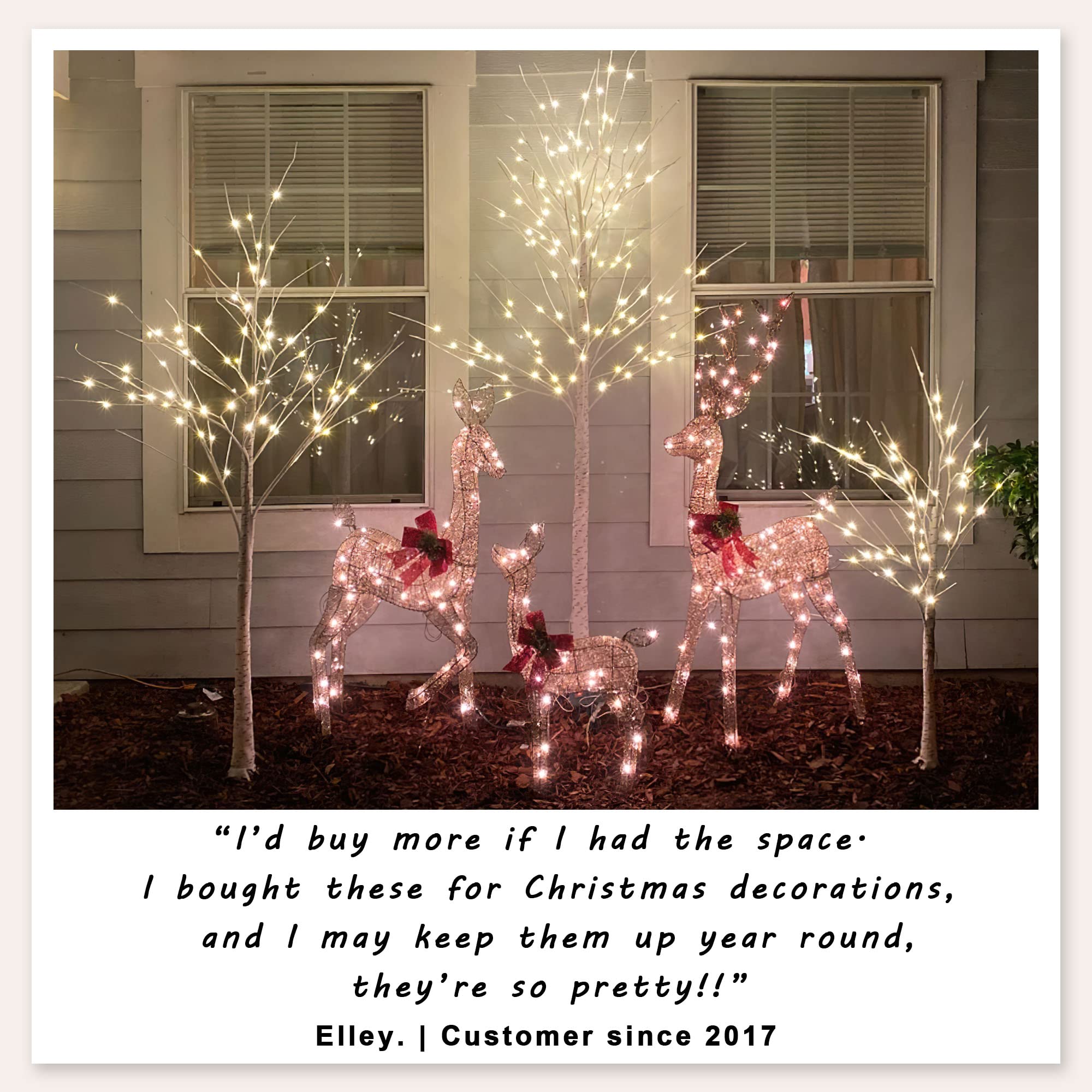 SPIRIT STAR CHRISTMAS CENTER trees on a porch creating welcoming outdoor lighting