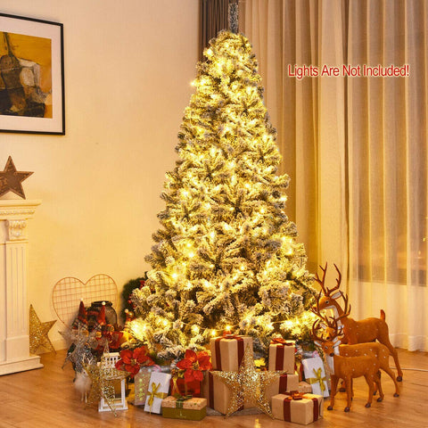 SPSUPE tree beside sofa showing scale and ideal room fit