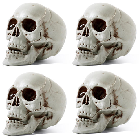 Sratte front view of four skulls showing ready-to-use party props