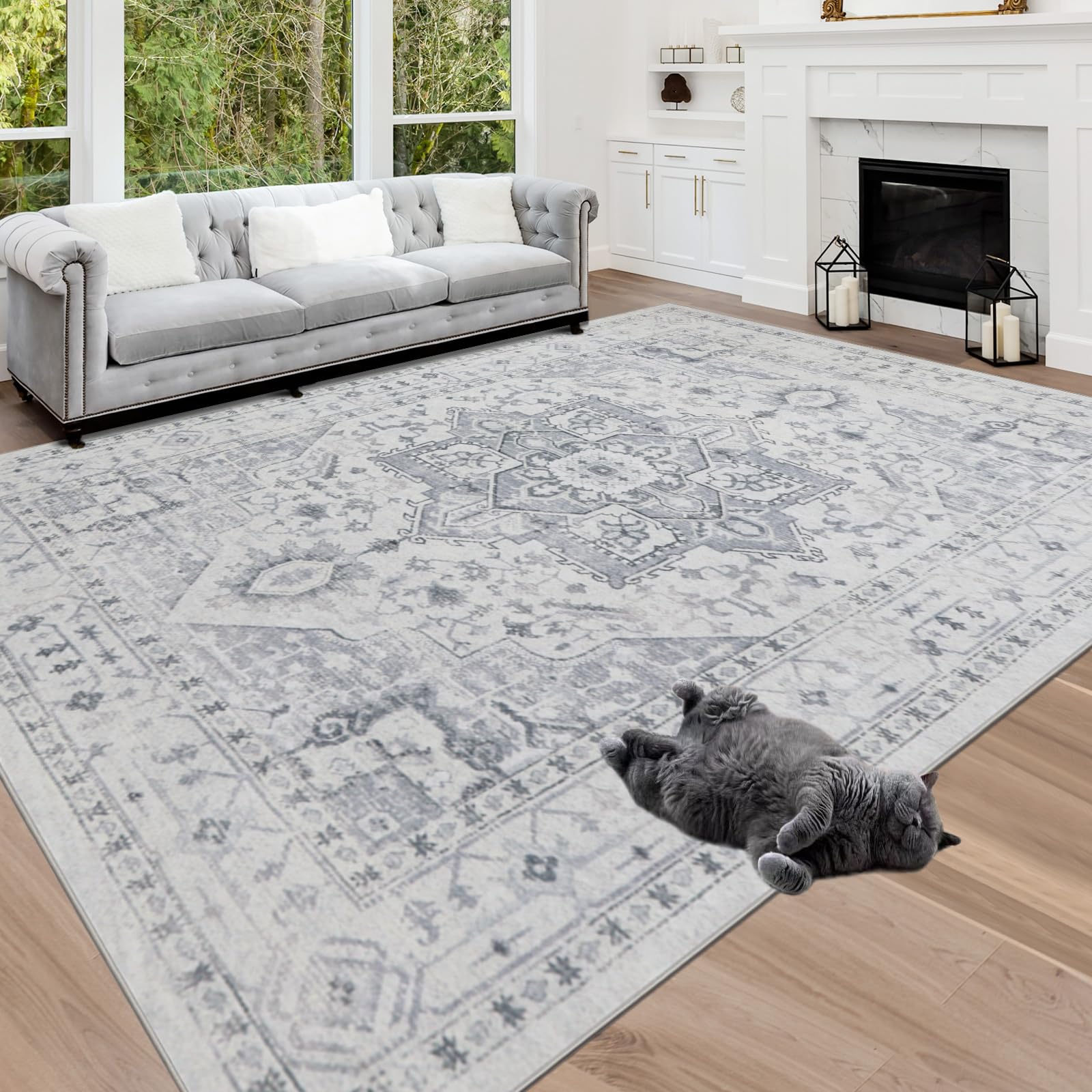 Srugn lint removal tool with rug showing simple maintenance advantage