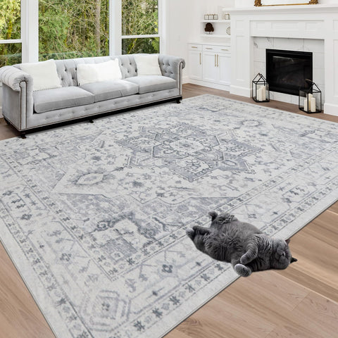 Srugn lint removal tool with rug showing simple maintenance advantage