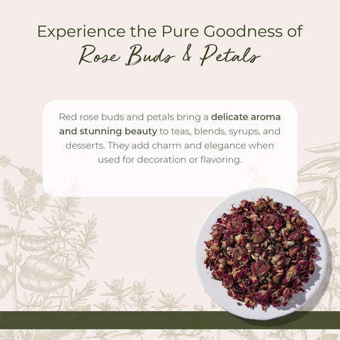 Starwest Botanicals close-up of Rosa centifolia bud texture highlighting natural color
