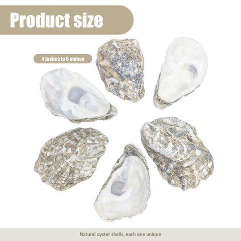 stonechic close-up of cupped oyster texture highlights natural detail