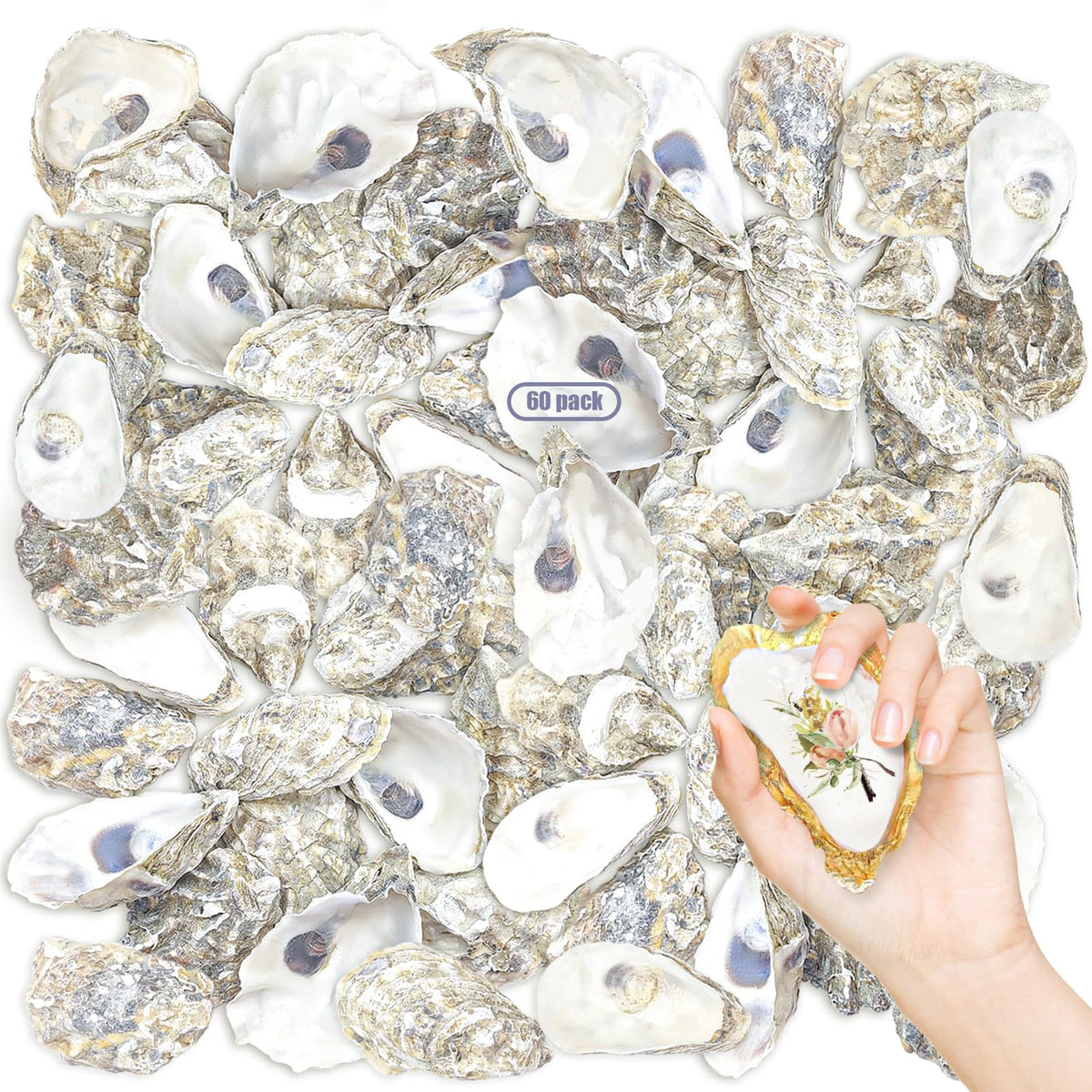 stonechic front view of 60 oyster shells pack shows quantity benefit