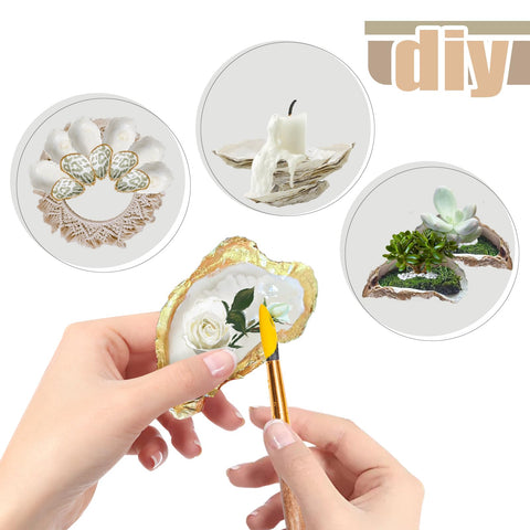 stonechic oyster shells filling glass vase adds coastal decor appeal