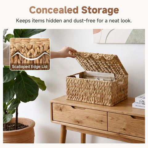 StorageWorks side handles and iron frame close focus for easy carrying benefit