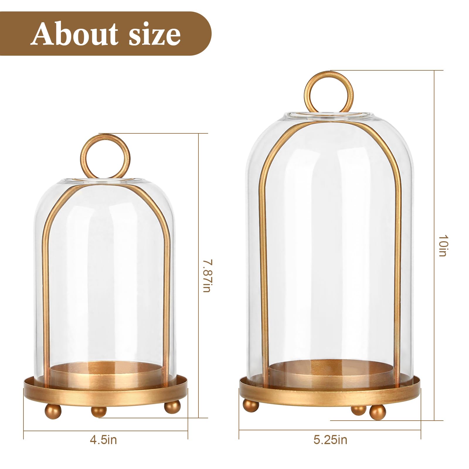 SUJUN close-up of thick hand-blown glass dome highlighting clarity and safety
