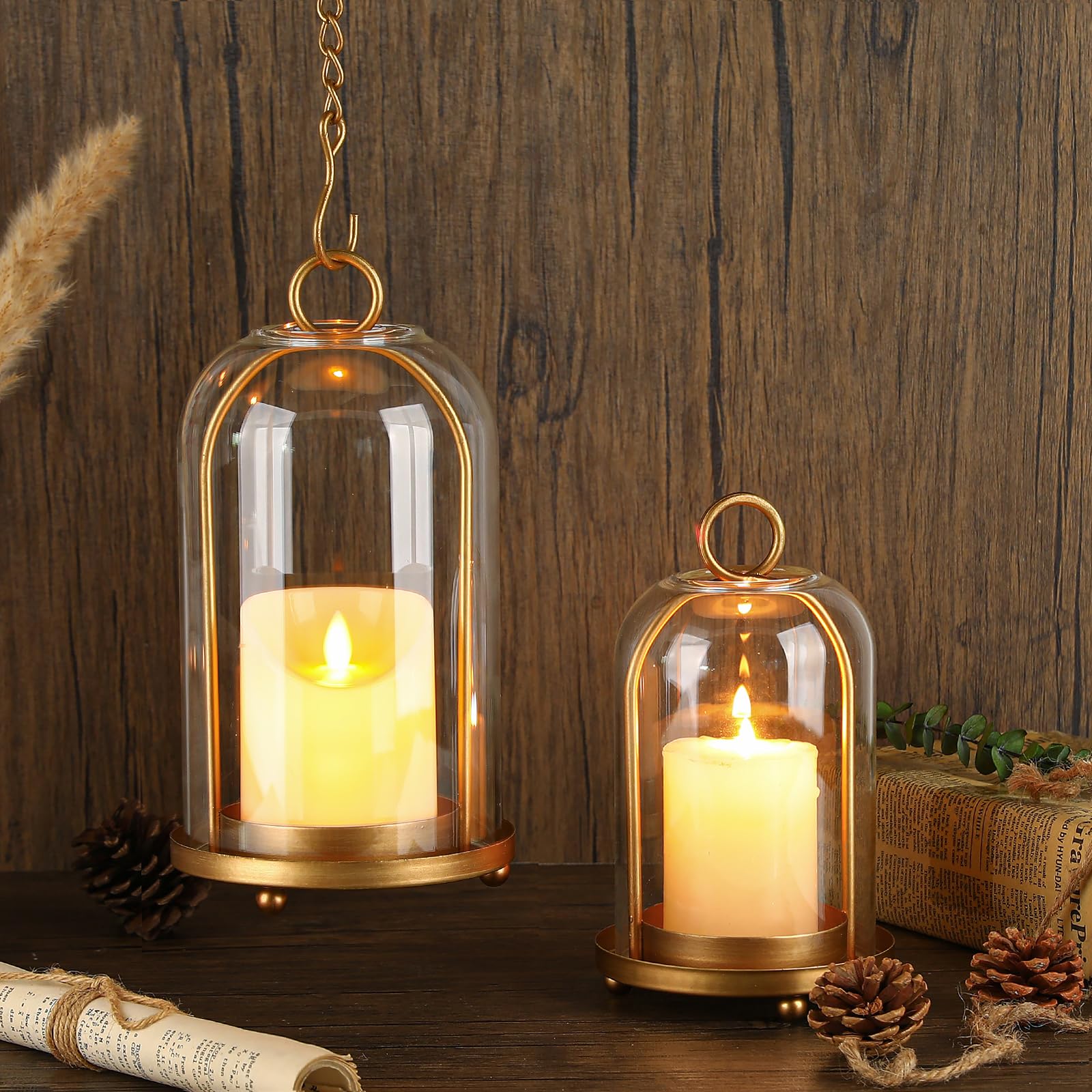 SUJUN lanterns used as planters with succulents for decorative versatility