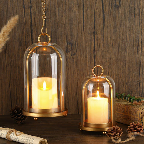 SUJUN lanterns used as planters with succulents for decorative versatility