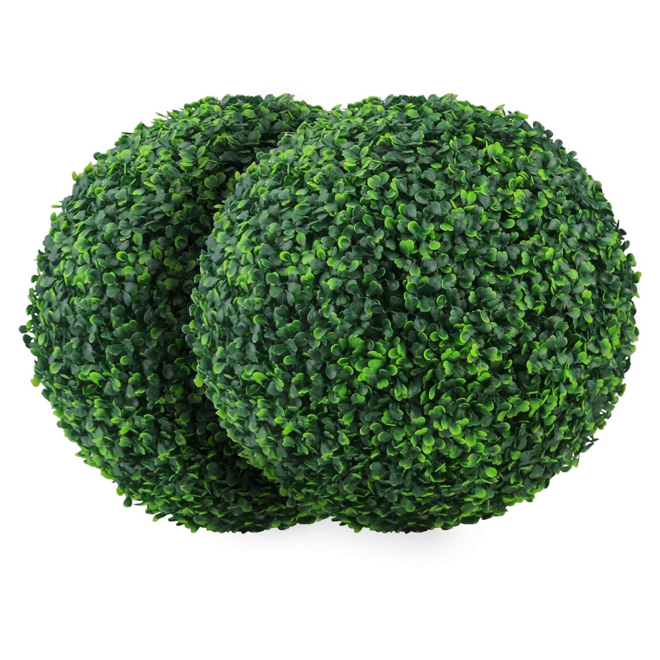 Sunnyglade front view boxwood ball showing full round shape and instant curb appeal