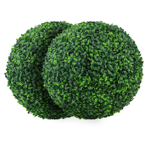 Sunnyglade front view boxwood ball showing full round shape and instant curb appeal