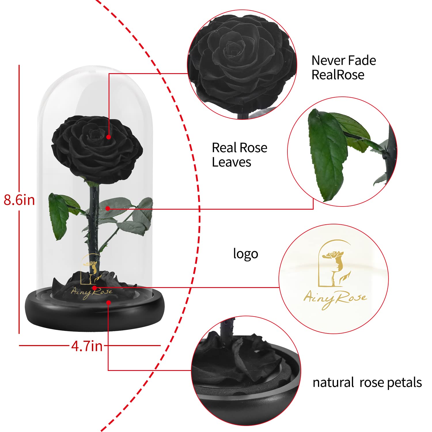 SW base and stem detail of preserved rose showcasing craftsmanship and stable mount