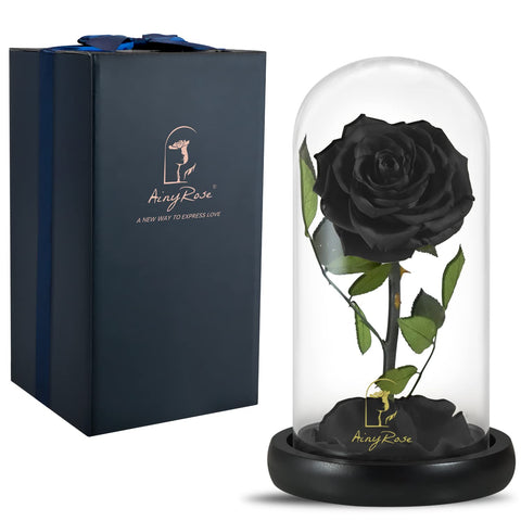 SW black rose under glass dome front view showing elegant preserved bloom and lasting beauty