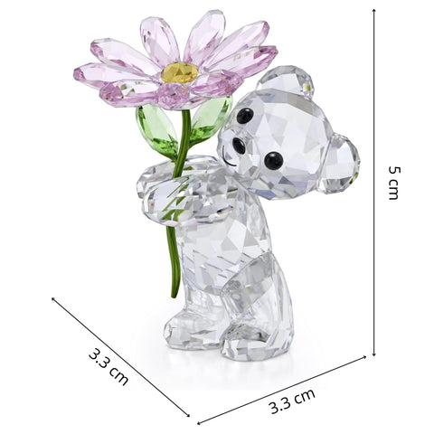 Swarovski Kris Bear in Swarovski box presented for gifting and protection