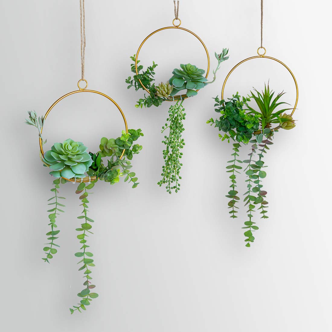 SWTHONY trio hanging in living room offering instant botanical decor