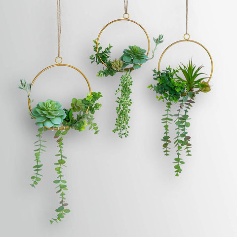 SWTHONY trio hanging in living room offering instant botanical decor