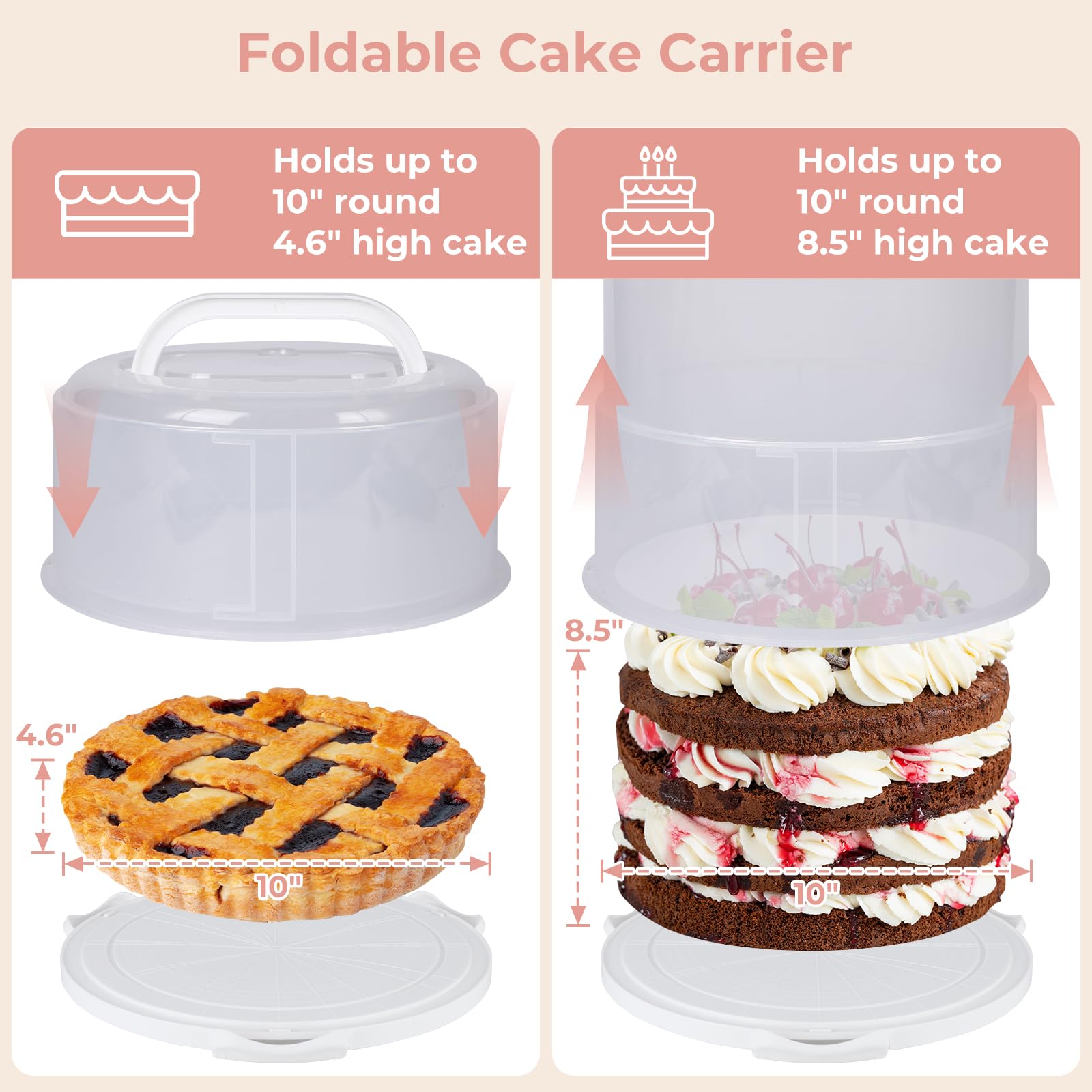 Targihoemt clear lid close-up displaying decorations while keeping cake safe