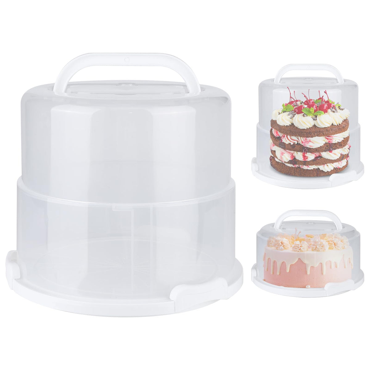 Targihoemt front view with lid showing secure cake protection and visibility
