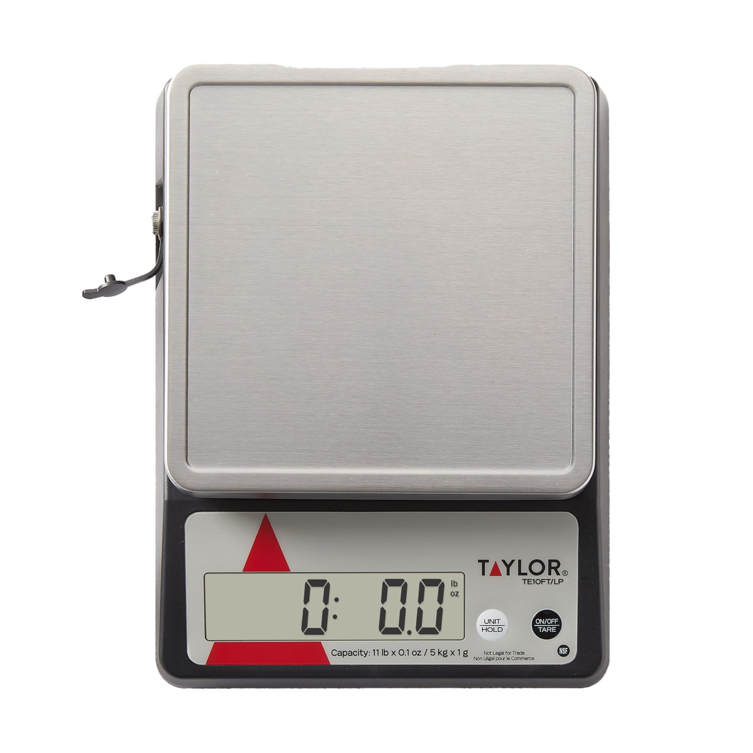 Taylor TE10FT held in hand for scale size and portability, useful for busy prep stations