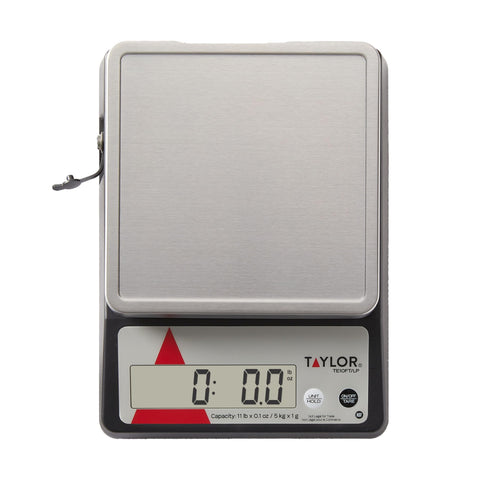 Taylor TE10FT held in hand for scale size and portability, useful for busy prep stations