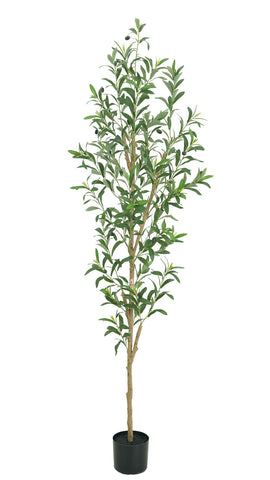TDIAOL olive tree front view showing full height and décor benefit