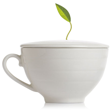 Tea Forte café cup front view showing white porcelain and clean silhouette, elegant presentation