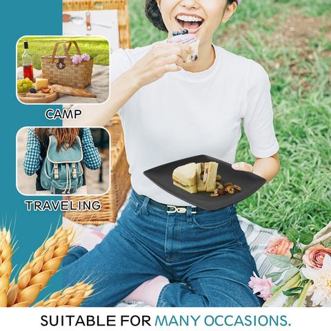 Teivio dinnerware inside dishwasher and freezer to show convenient cleaning and safe storage of leftovers