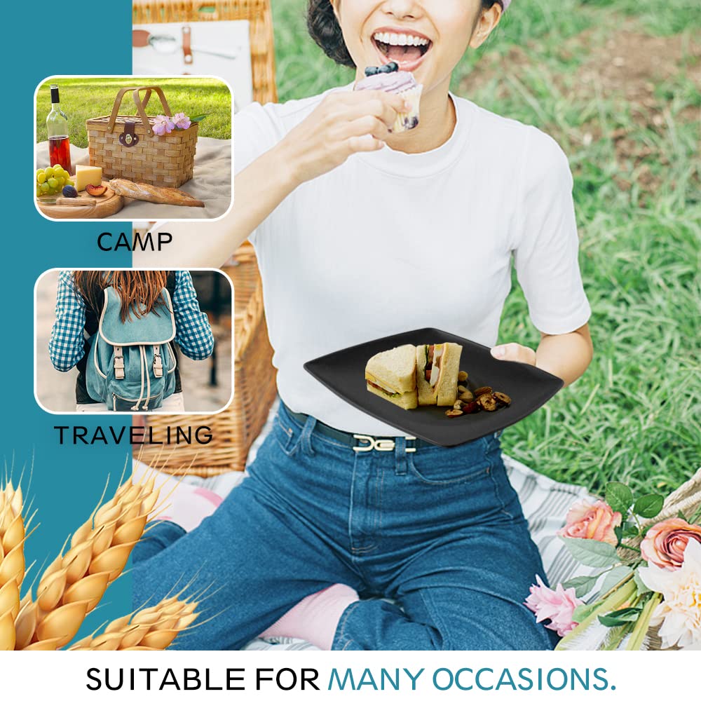 Teivio outdoor picnic scene showing portability and versatile entertaining benefit