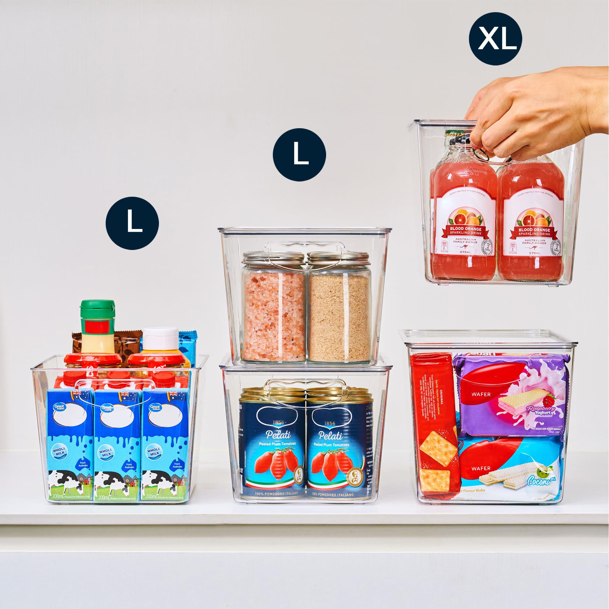 theaoo size comparison with hand conveys container scale and ample capacity