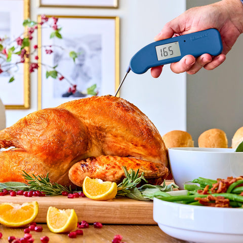ThermoWorks Thermapen ONE rotating display close-up with clear backlight, fast-legible readings in low light