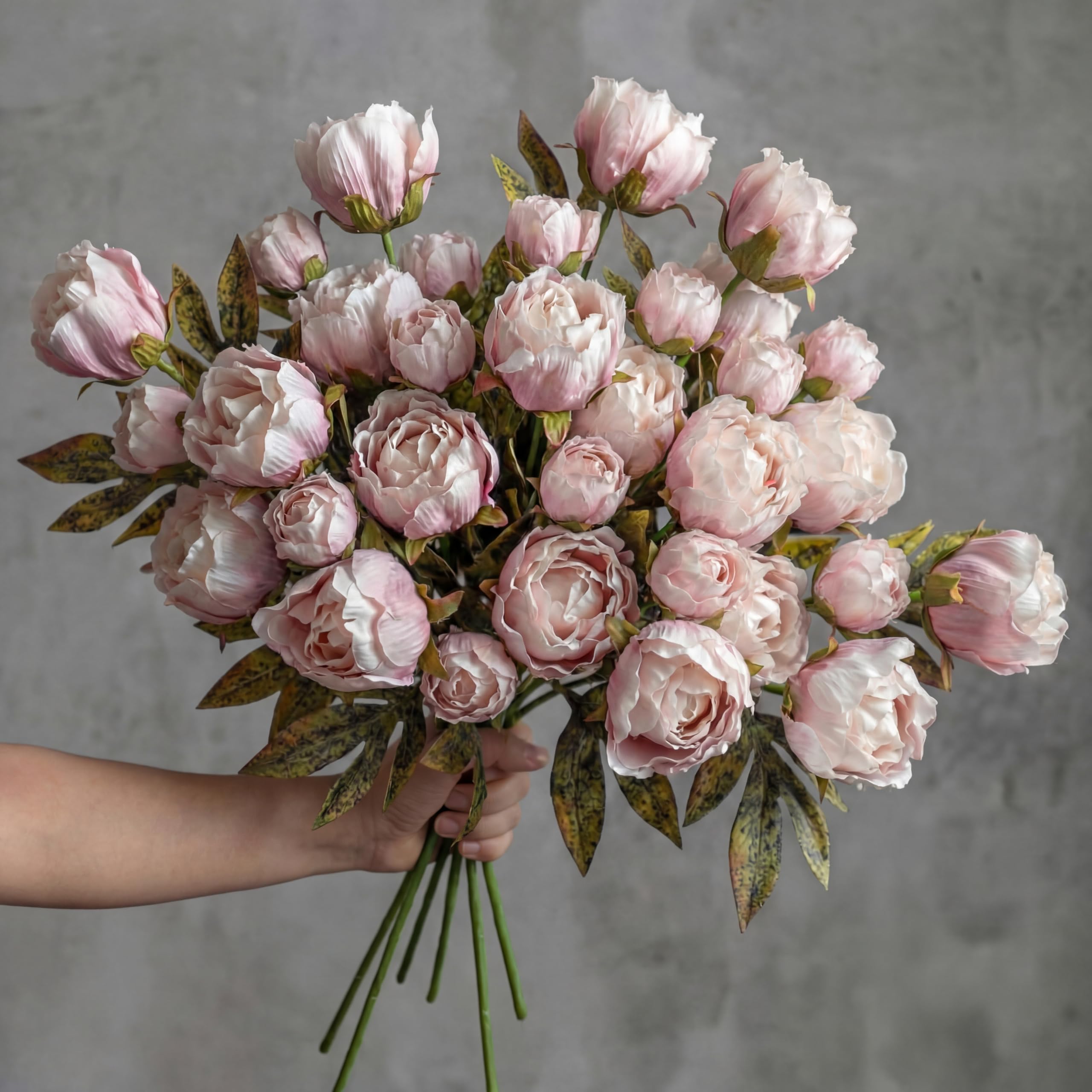 Thiccywoov front view of 12 brownish peony stems showing full bouquet benefit