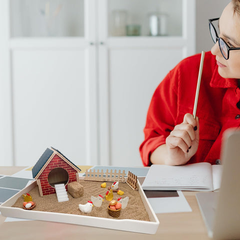 Threeheng chicken zen garden on a desk adding charm and a quick relaxation break